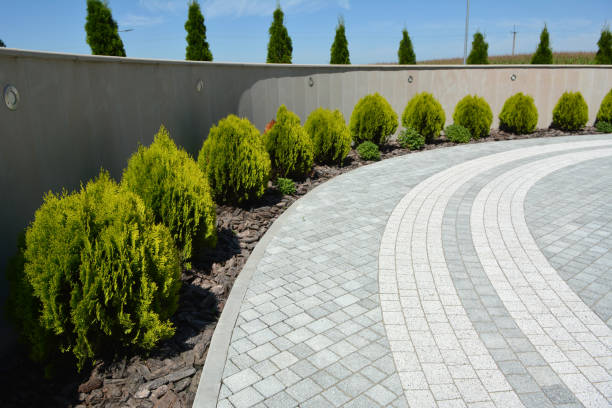 Best Driveway Paving Contractor  in Bella Vista, AR