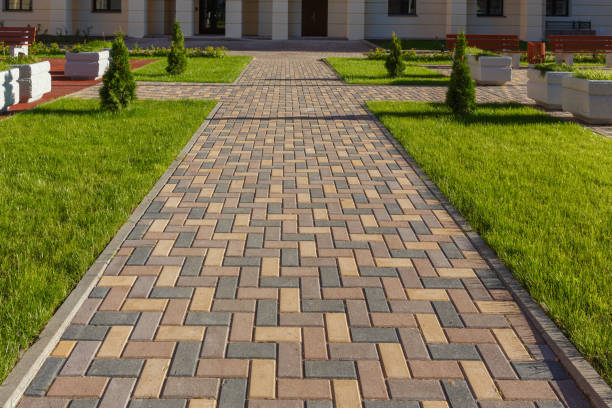 Best Local Driveway Pavers  in Bella Vista, AR